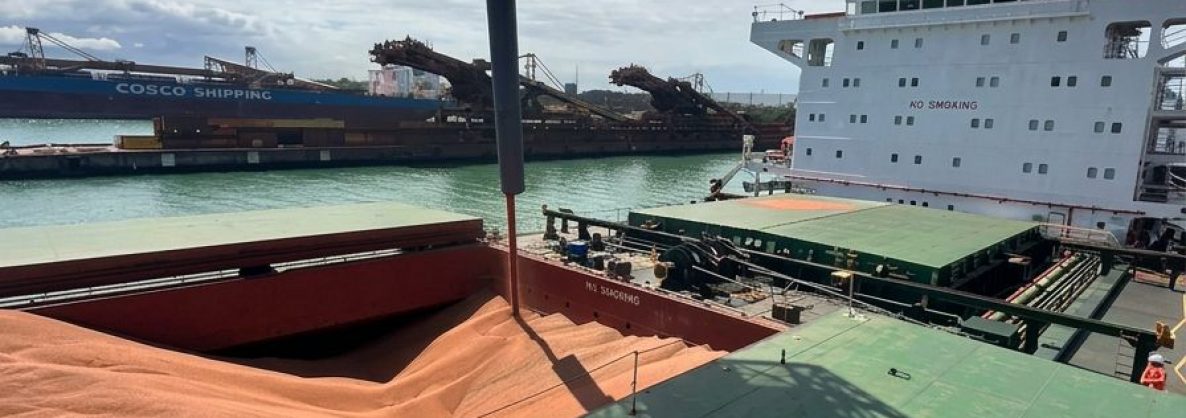 Embarque Sorgo VLI 01 2026 edit